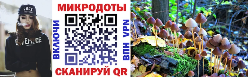 где купить   площадка официальный сайт  Галлюциногенные грибы Psilocybine cubensis  Россошь 